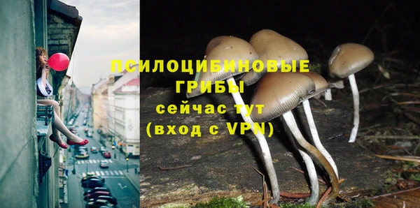 каннабис Кинешма