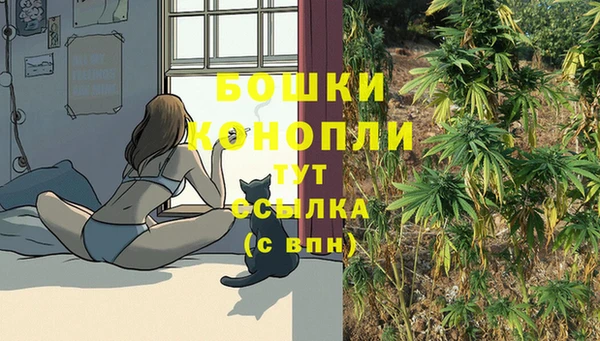 MESCALINE Козельск