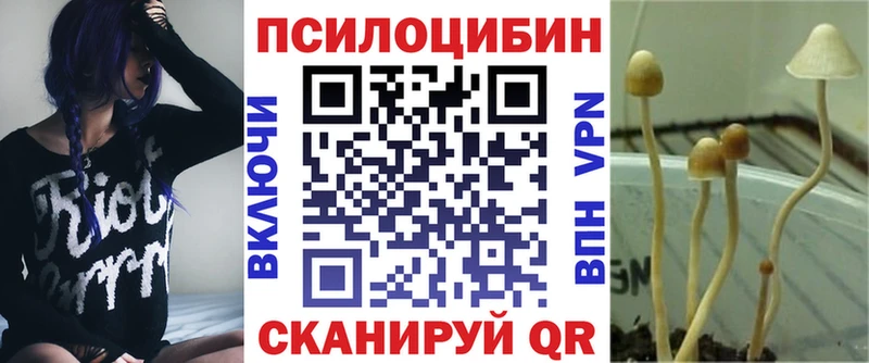 Галлюциногенные грибы мухоморы  Купить  Белинский 
